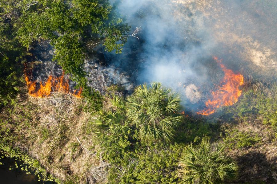 Aerial view of a managed vegetation fire moving through timber